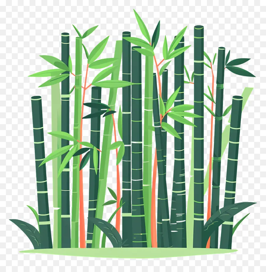 Bambu Ormanı，Bambu PNG