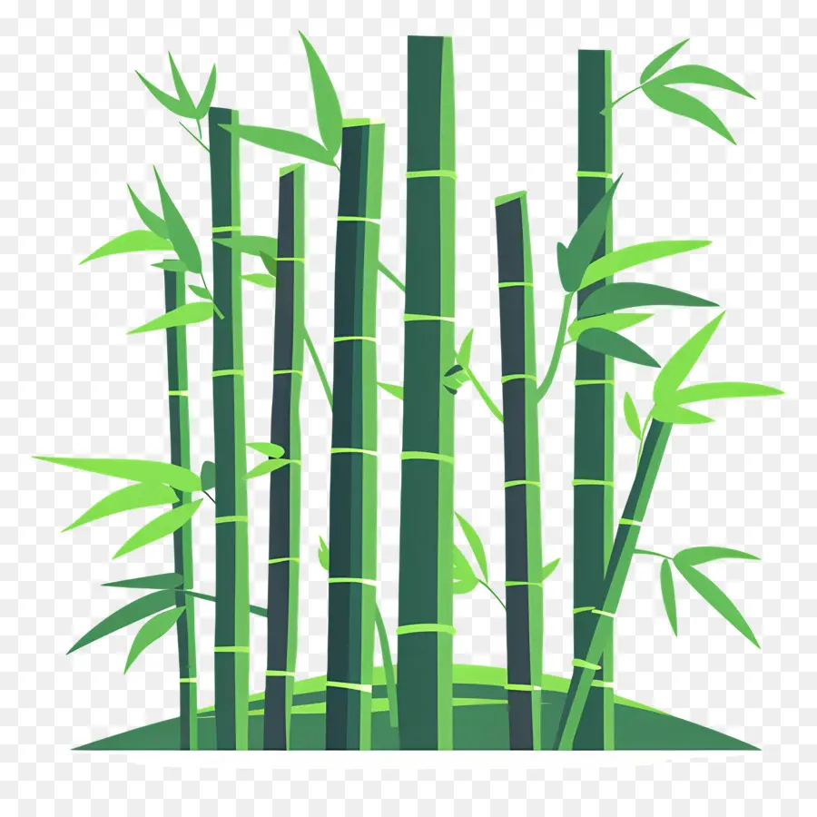 Bambu Ormanı，Bambu PNG