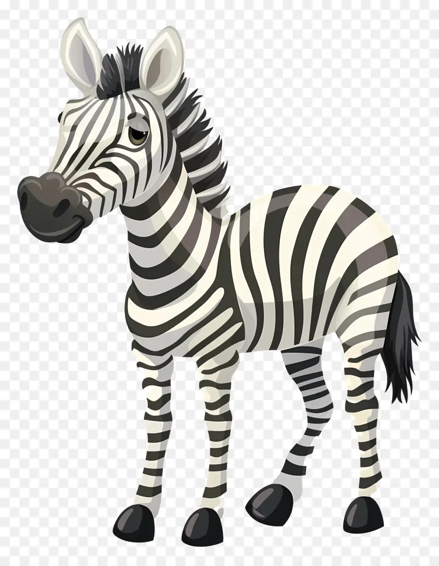 Zebra，Yaban Hayatı PNG