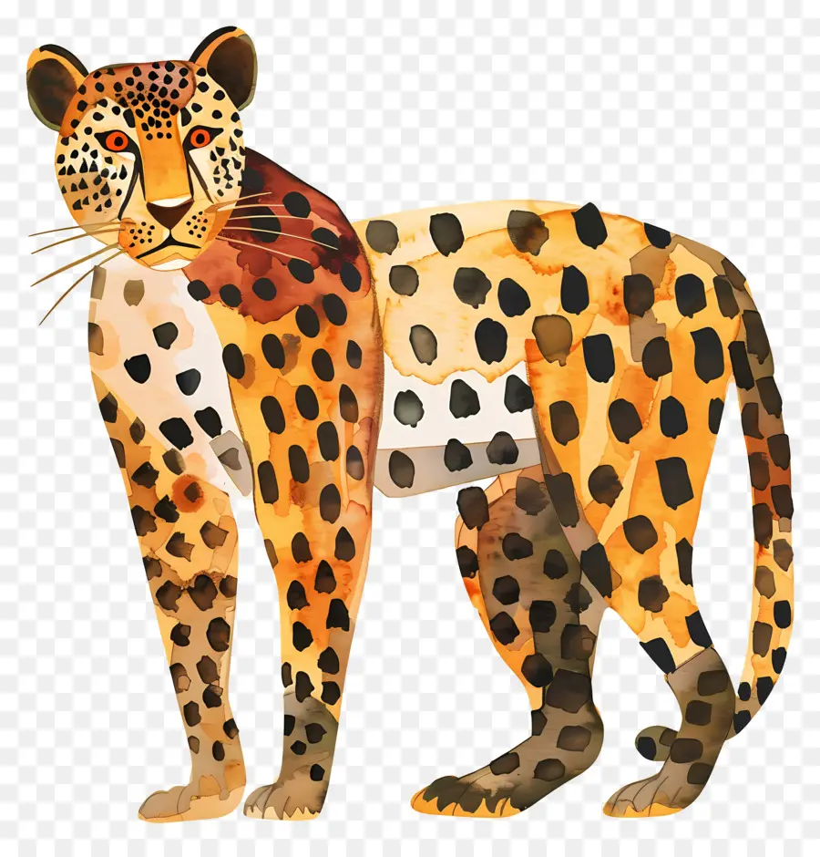 Leopar，Vahşi Kedi PNG