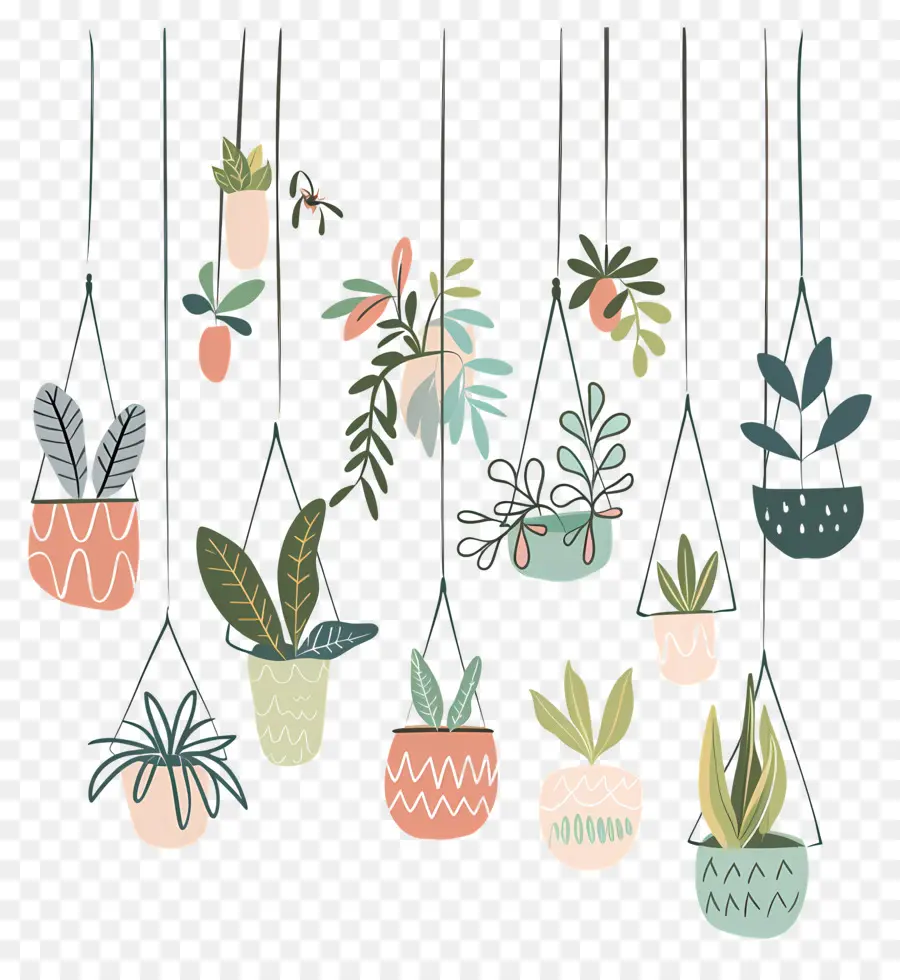 Houseplants Asılı，Saksı Bitkileri PNG