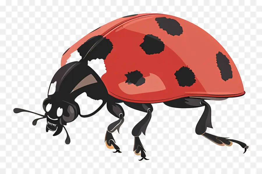 Uğur Böceği，Lady Beetle PNG