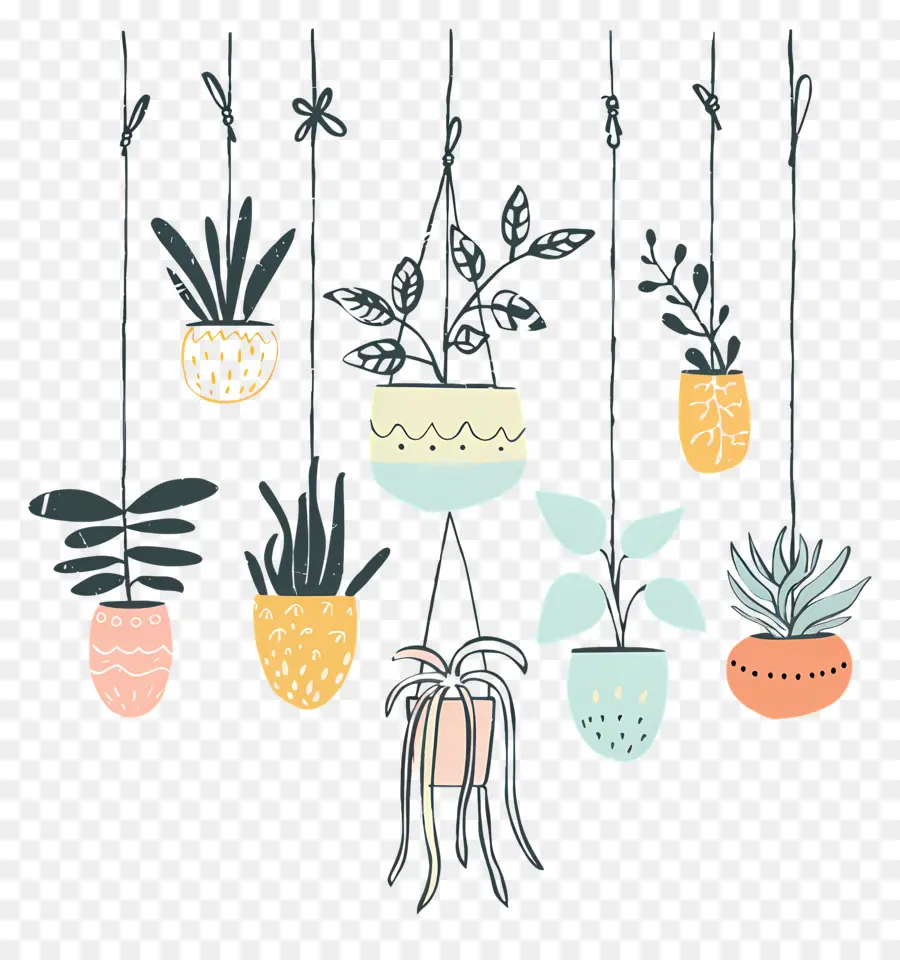 Houseplants Asılı，Asılı Bitkiler PNG