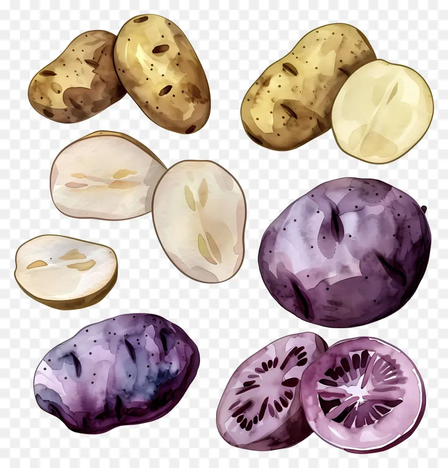 Patates，Sebze PNG