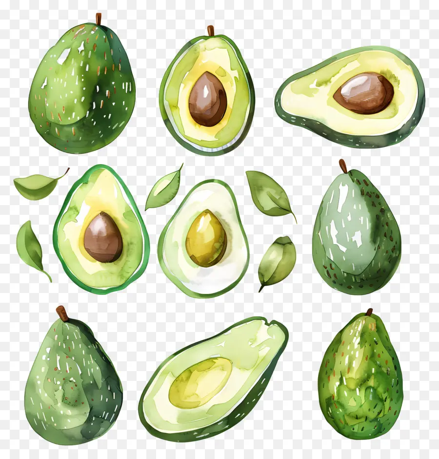 Avokado，Meyve PNG