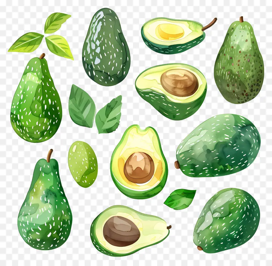 Avokado，Meyve PNG