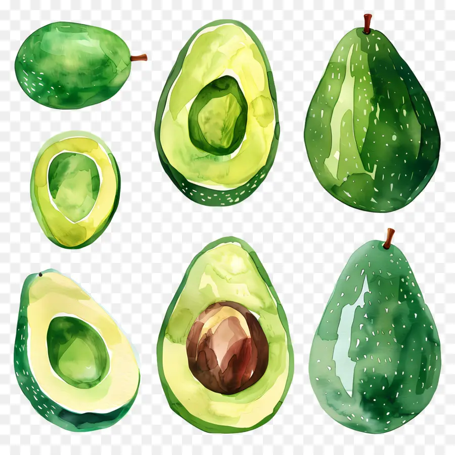 Avokado，Meyve PNG