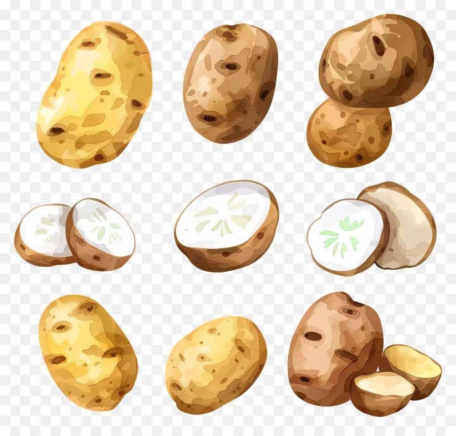 Patates，Sebze PNG