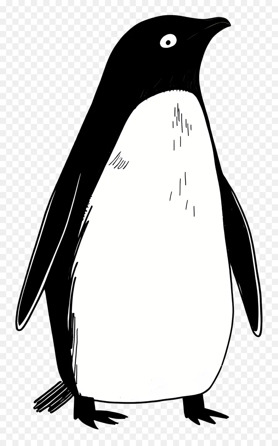 Karikatür Penguen，Penguen PNG