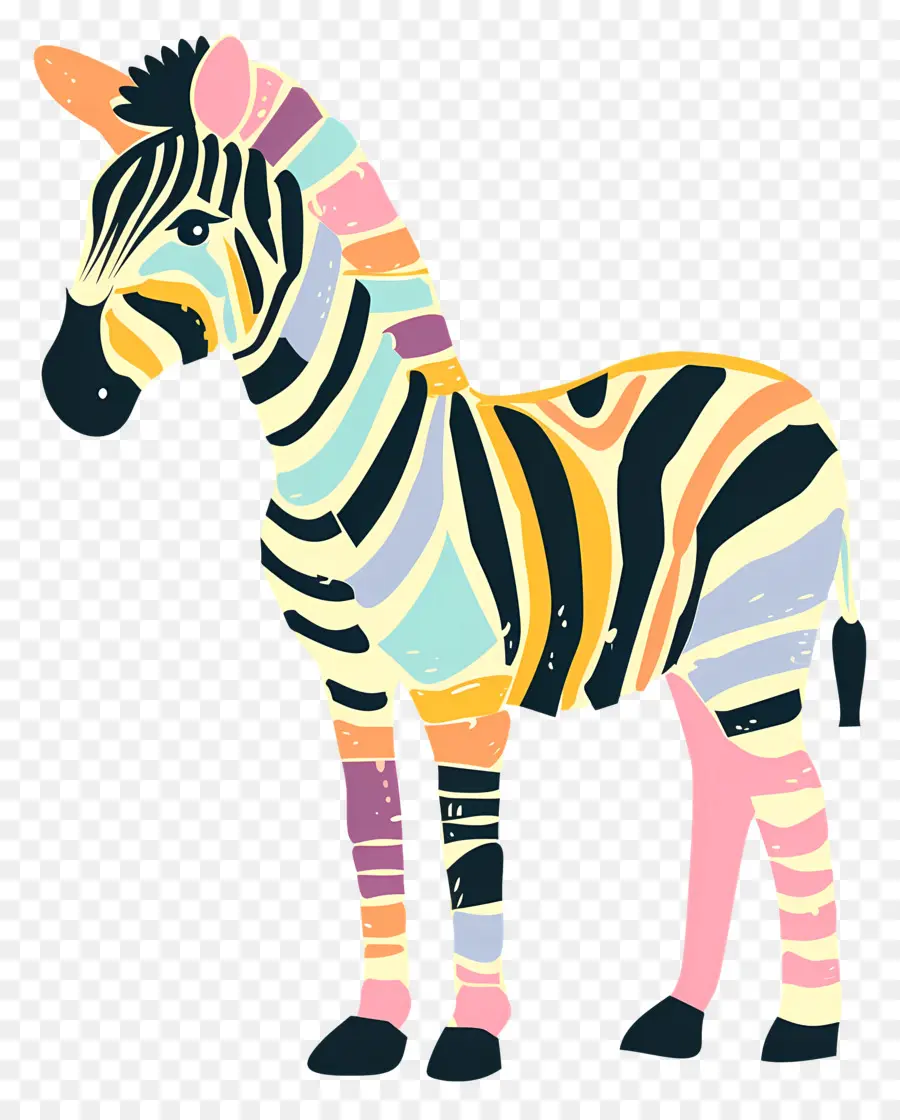 Zebra，Renkli Zebra PNG