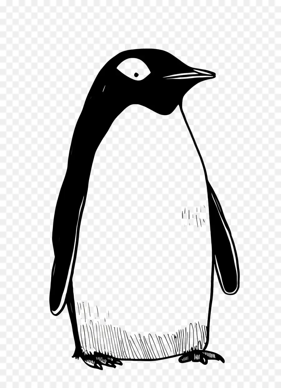 Karikatür Penguen，Penguen PNG