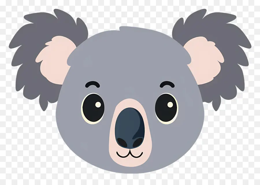 Sevimli Koala Yüzü，Koala PNG