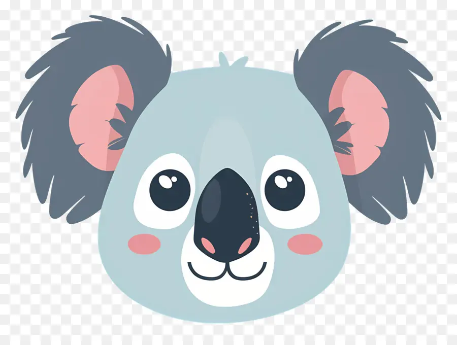 Koala，Yüz PNG