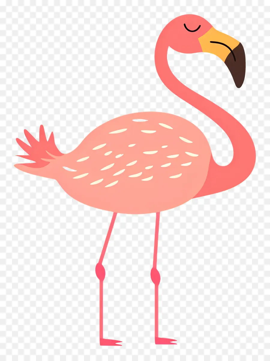 Flamingo，Pembe Flamingo PNG