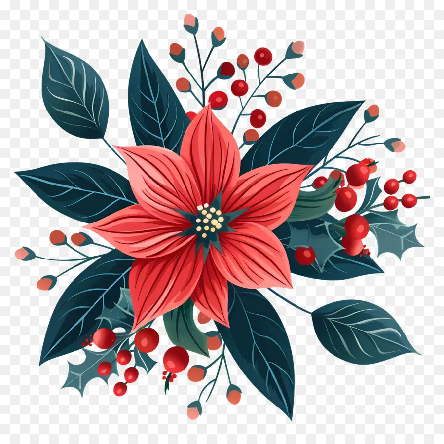 Noel çiçek，Poinsettia PNG