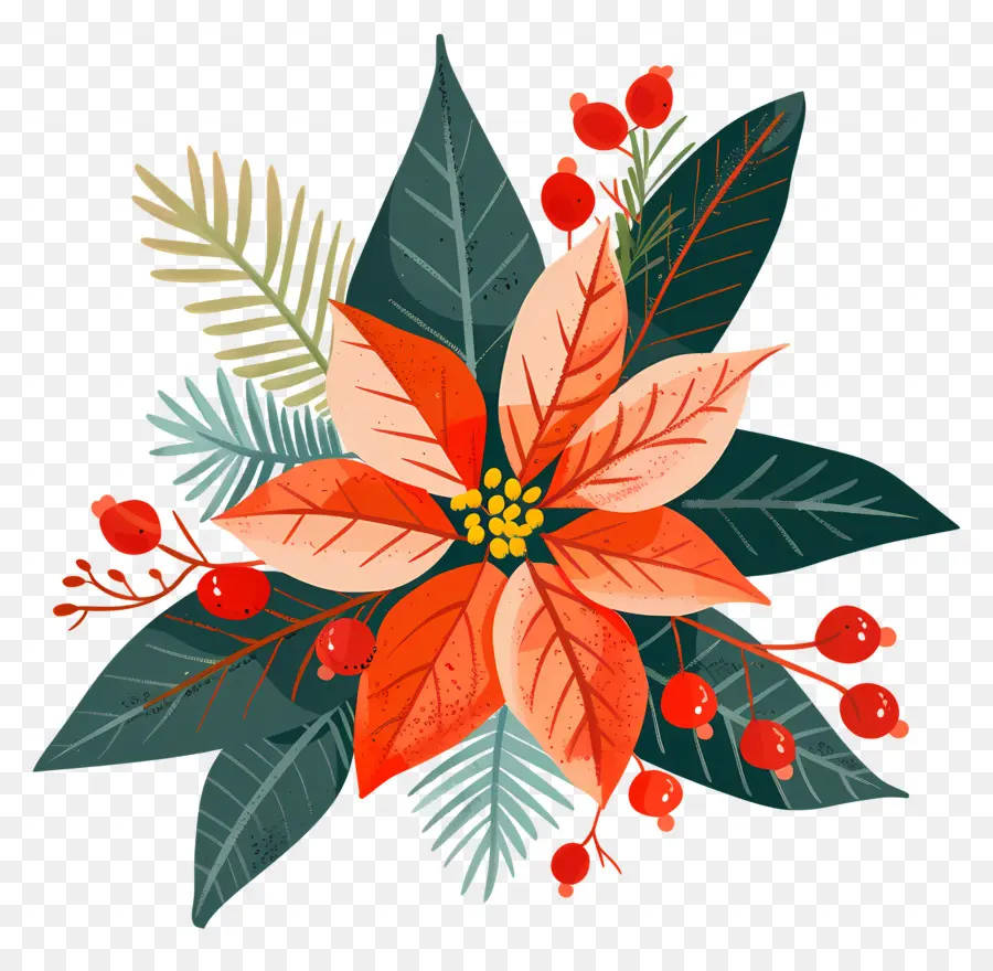 Noel çiçek，Poinsettia PNG