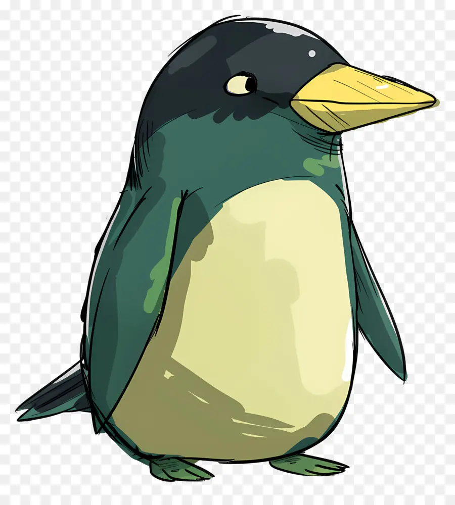 Penguen，Kuş PNG