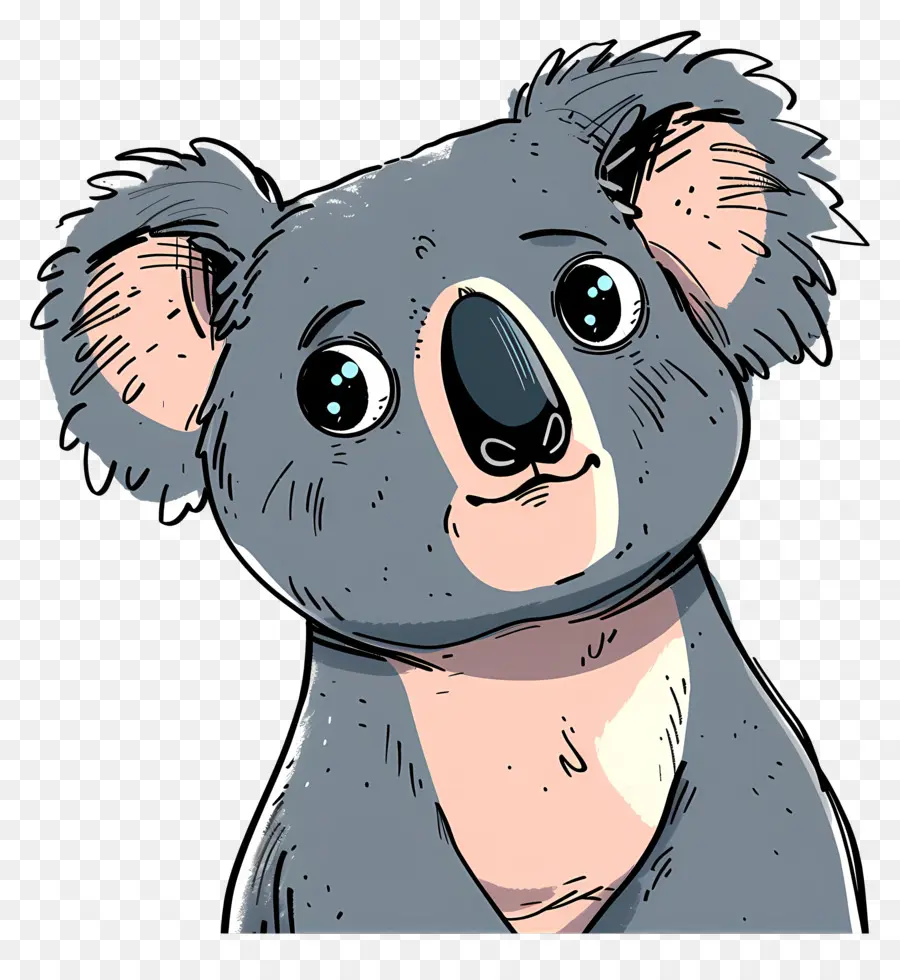 Karikatür Koala，Avustralya PNG