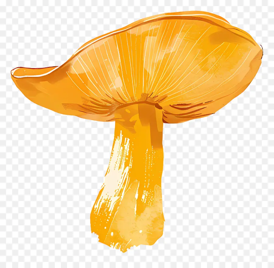 Chanterelle Mantar，çan şeklindeki Mantar PNG