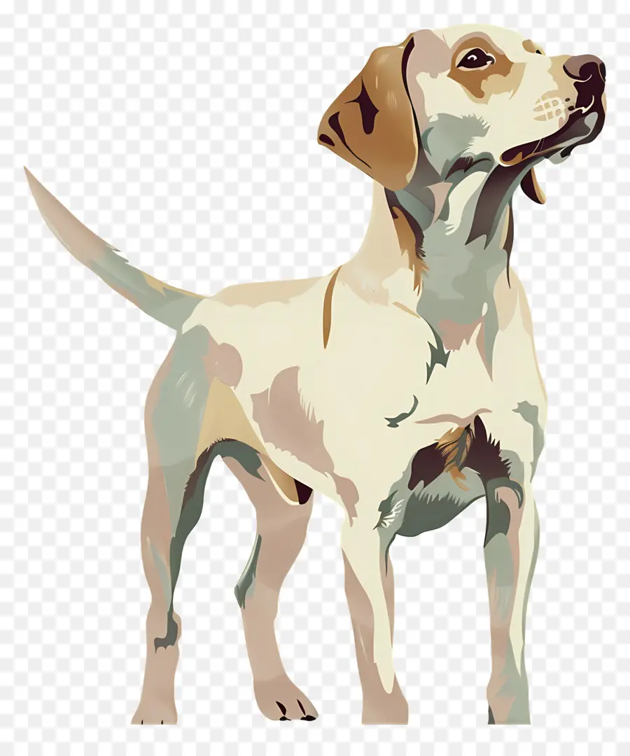 Köpek，Evcil Hayvan PNG