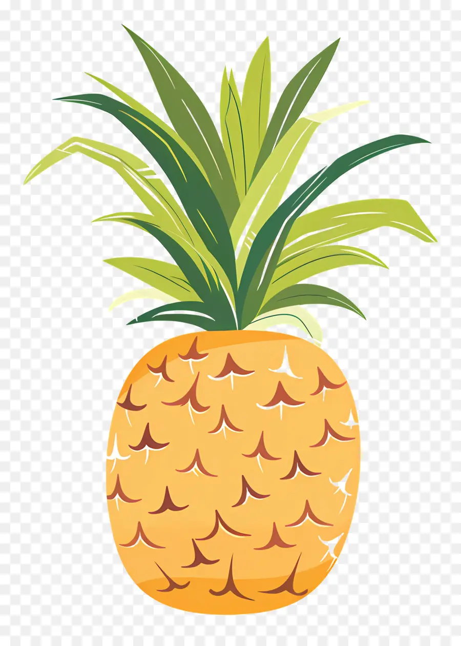 Ananas，Tropikal PNG