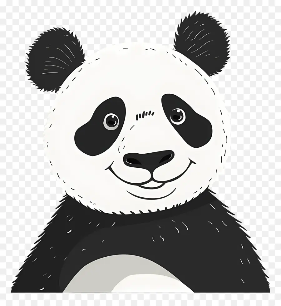 Panda，Ayı PNG