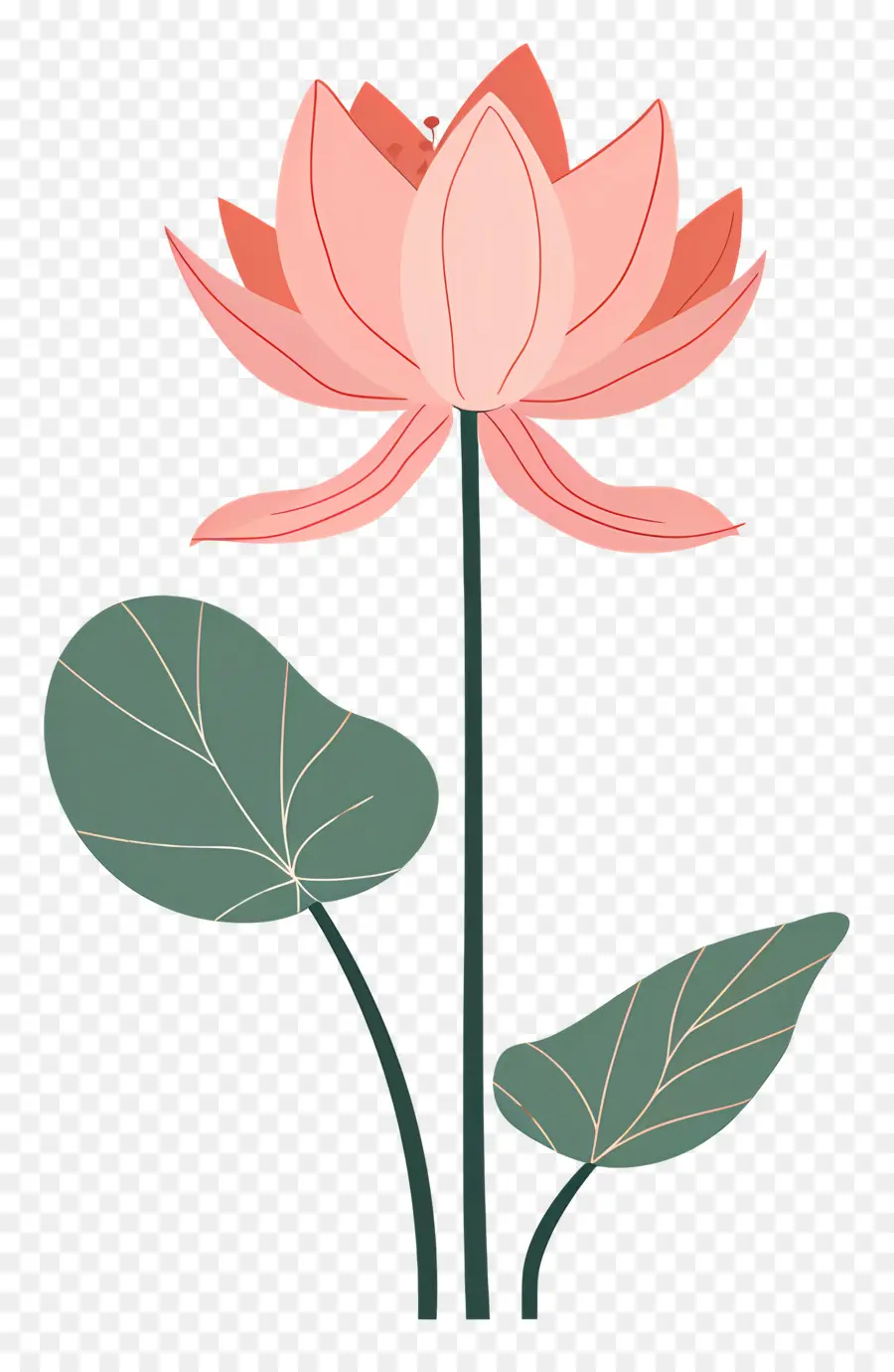 Lotus，Lotus çiçeği PNG