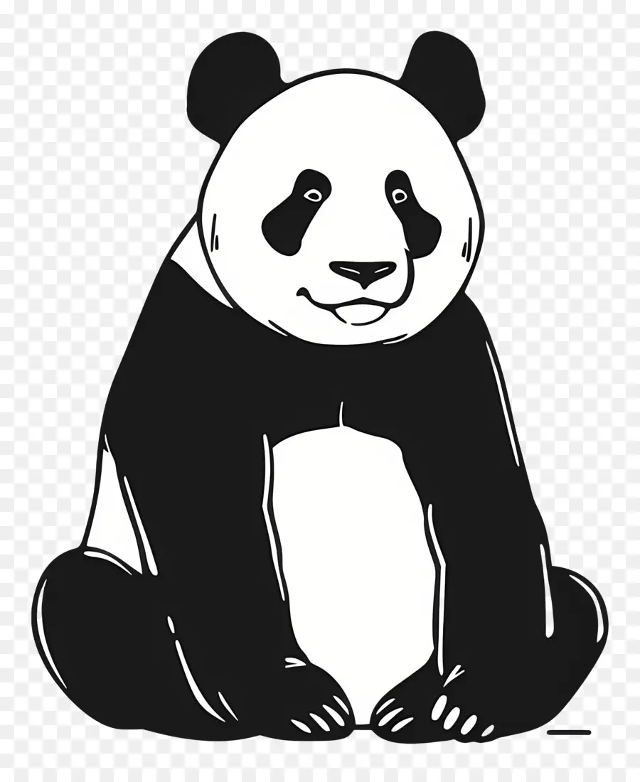 Panda，Panda Ayısı PNG