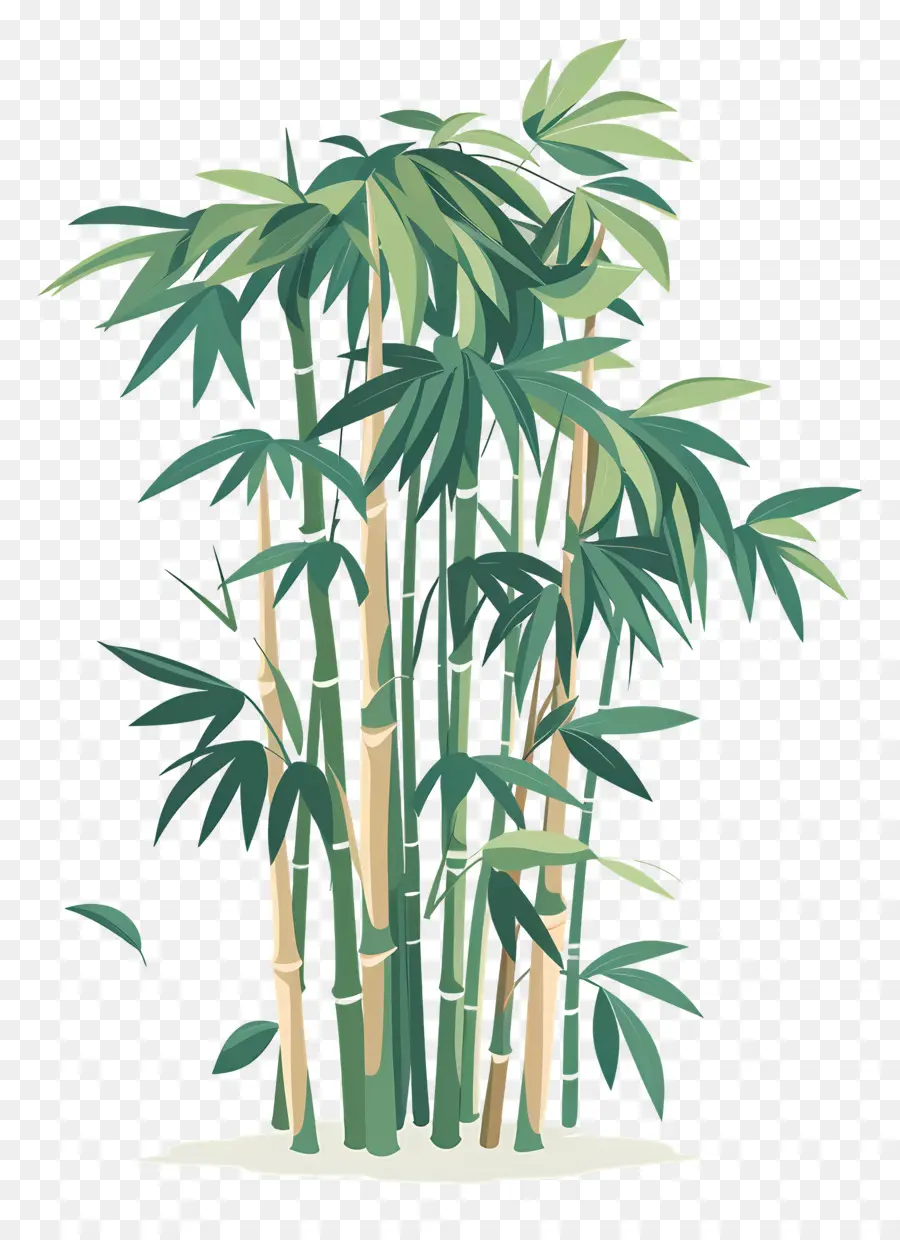 Bambu，Bambu Bitkiler PNG