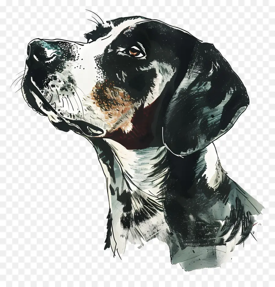 Köpek，Evcil Hayvan PNG