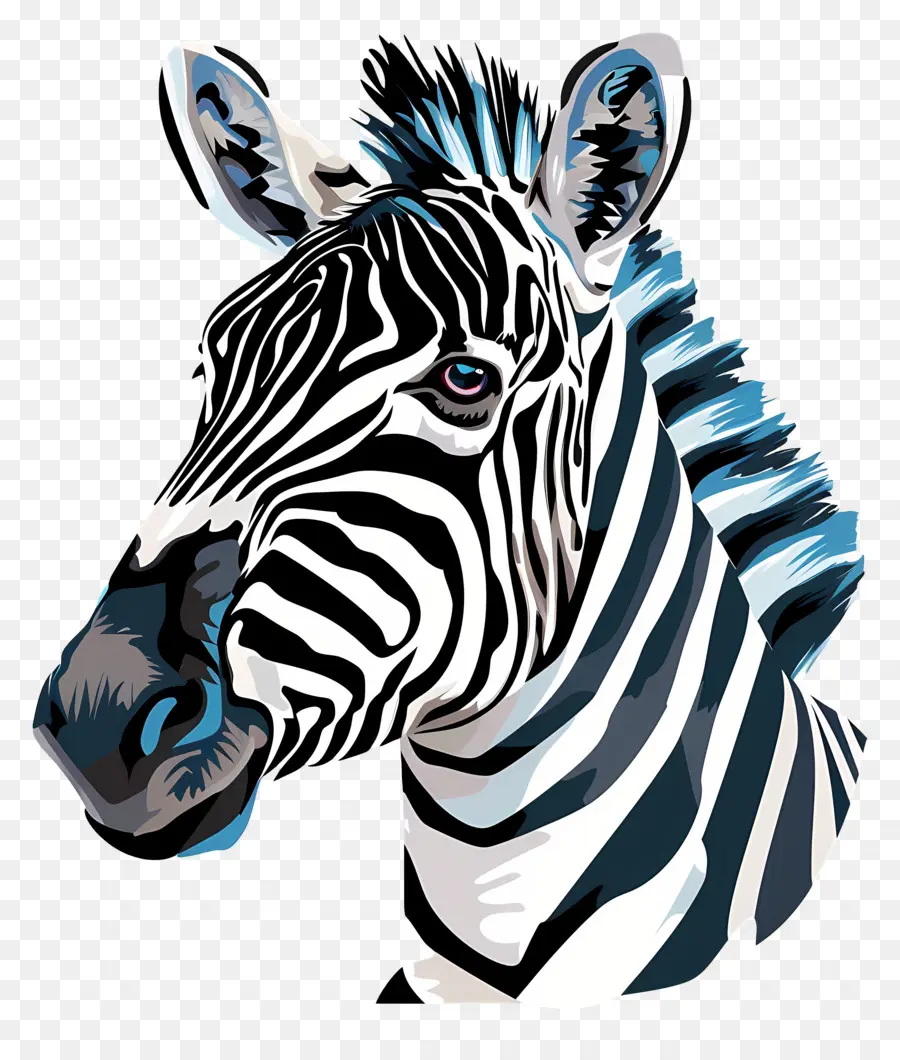 Zebra，Çizgili PNG