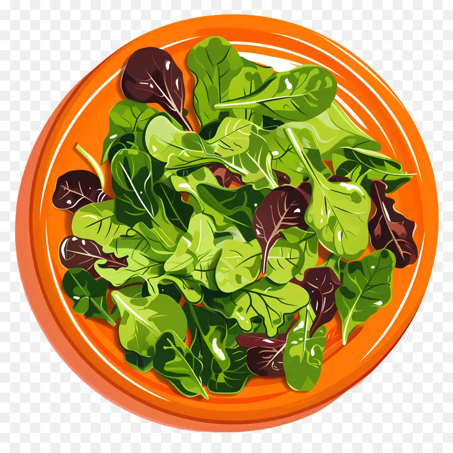 Yeşil Salata，Salata PNG