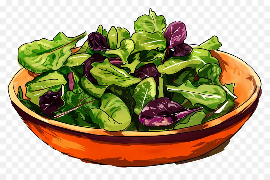 Yeşil Salata，Salata Kasesi PNG