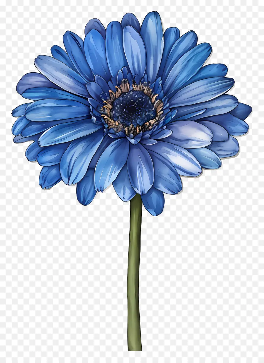 Mavi Gerbera，Mavi Çiçek PNG