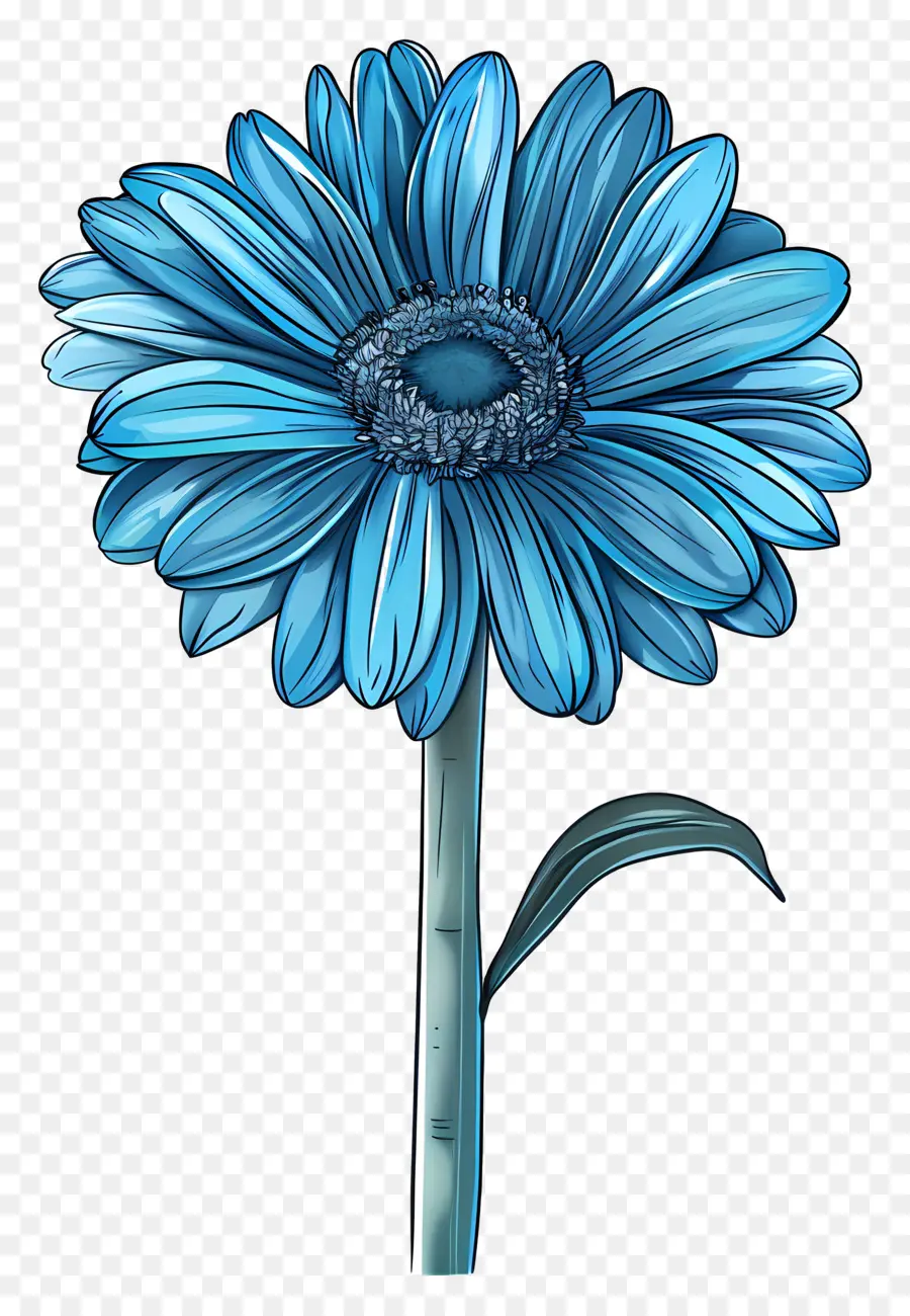 Mavi Gerbera，Mavi çiçek PNG