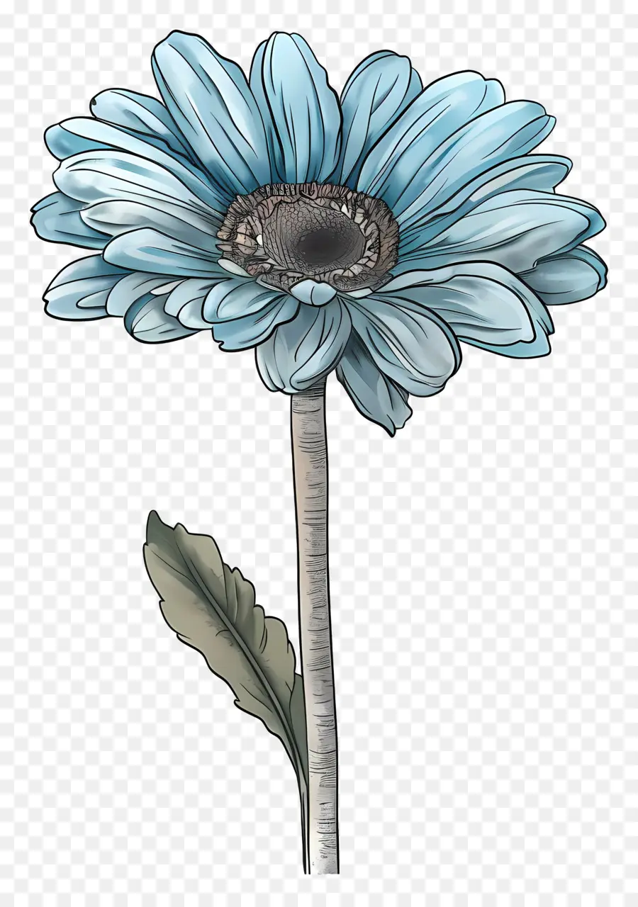 Mavi Gerbera，Mavi Çiçek PNG