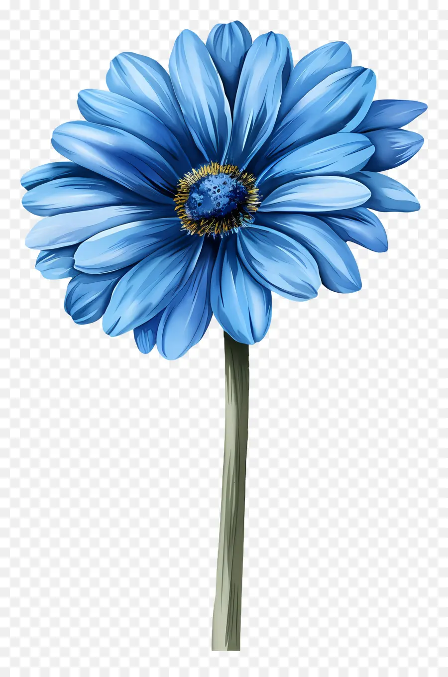 Mavi Gerbera，Mavi Çiçek PNG