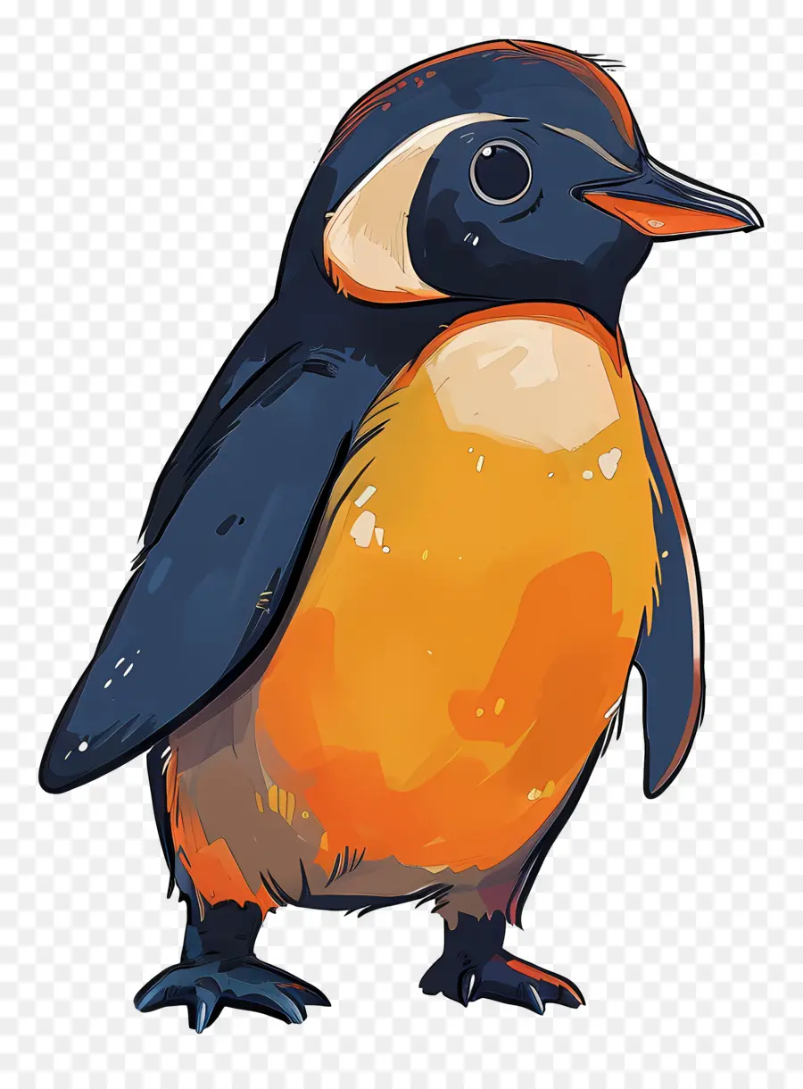 Penguen，Kuş PNG