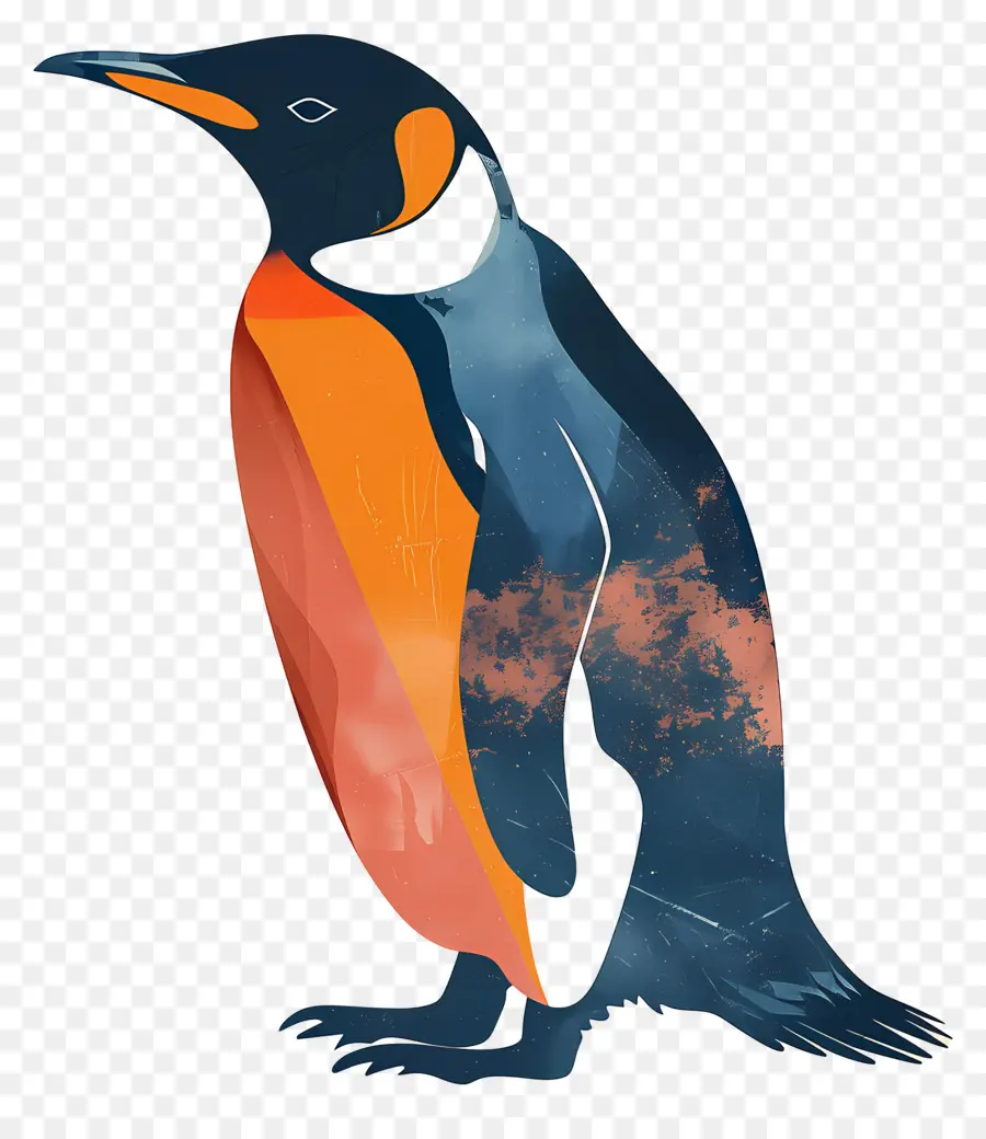 Penguen，Kuş PNG