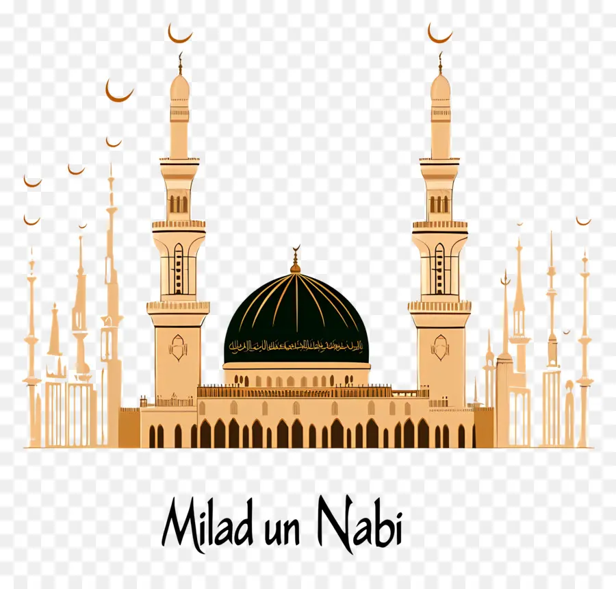 Milad Un Nabi，Cami PNG