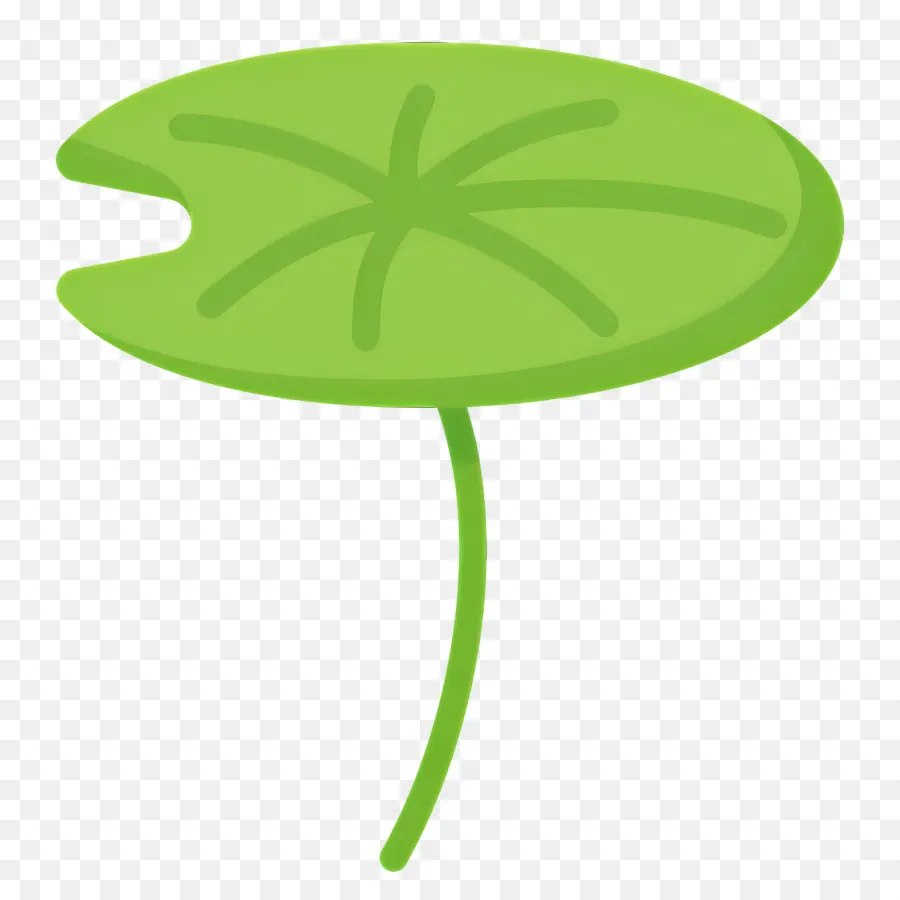 Lotus Yaprağı，Zambak Pedi PNG