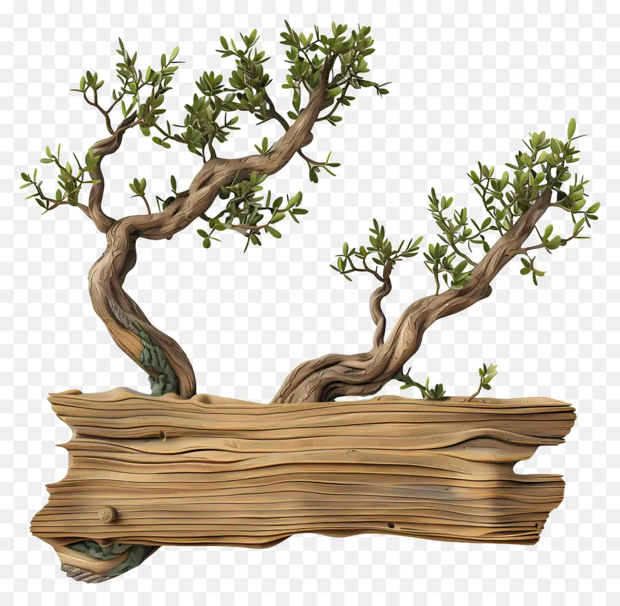 Ahşap Tabela，Bonsai Ağacı PNG