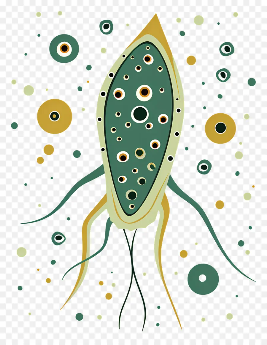 Plankton，Bakteriler PNG