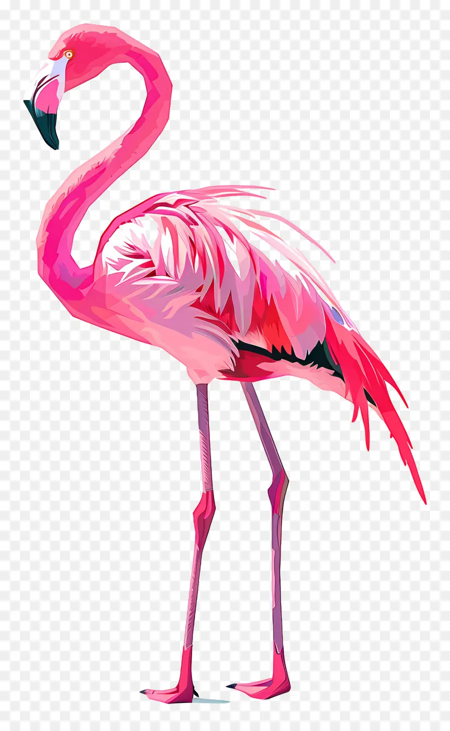 Flamingo，Pembe Flamingo PNG