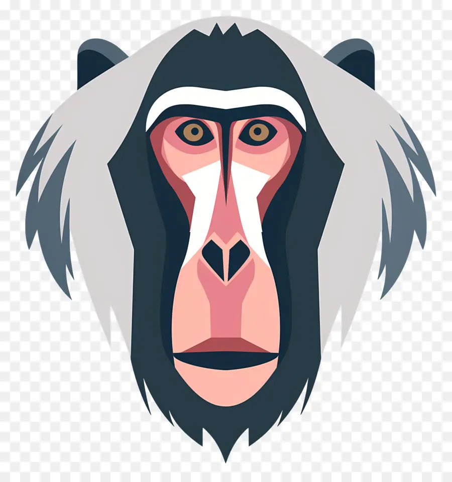 Babun Yüzü，Mandril PNG