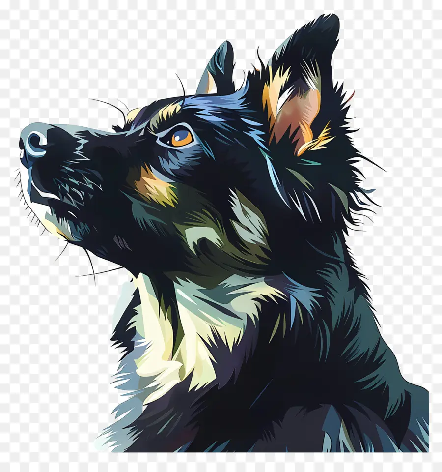 Köpek，Evcil Hayvan PNG