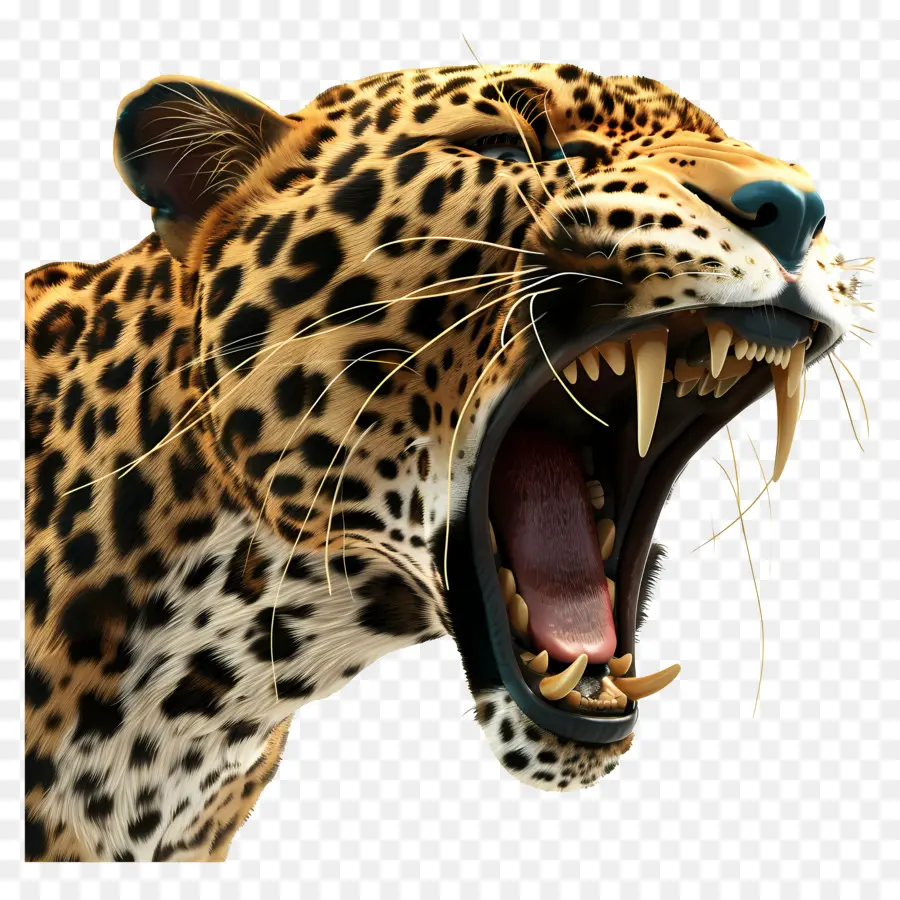 Leopar，Büyük Kedi PNG