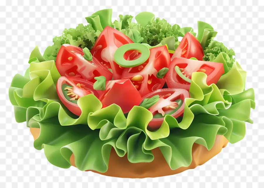 Taze Salata，Salata PNG