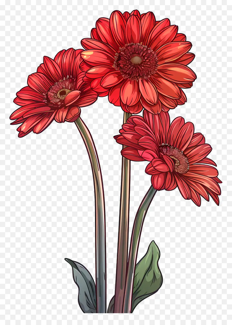 Gerbera çiçekleri，Kırmızı Çiçekler PNG