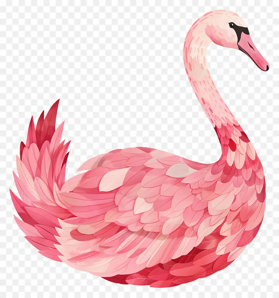 Pembe Kuğu，Kuğu PNG